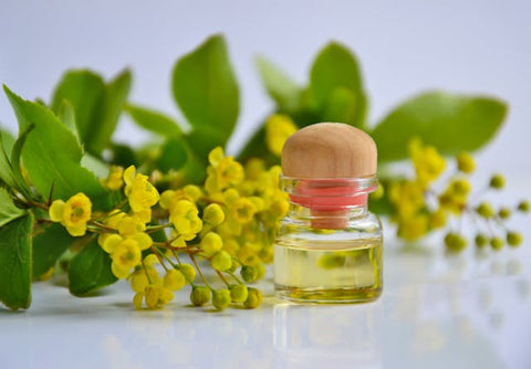 🌸 Say Goodbye to Skin Worries with Trusted, Nature-Based Solutions! 🌿 Experience skincare that cares for your soul—gentle, effective, and rooted in nature. 💖 Rediscover your skin’s pure, radiant essence.